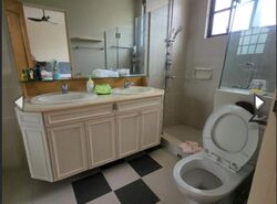 Bukit Sedap Road (D10), Semi-Detached #497601101